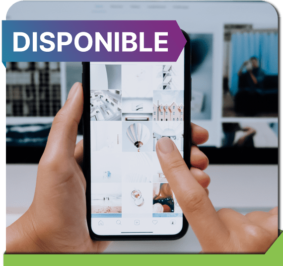 Redes y cultura innovadora