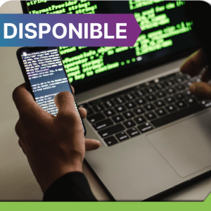 Seguridad en entornos digitales